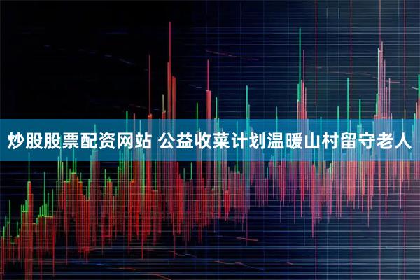 炒股股票配资网站 公益收菜计划温暖山村留守老人